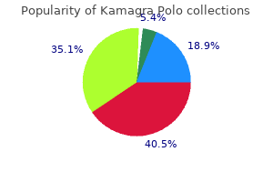 purchase kamagra polo 100mg on-line